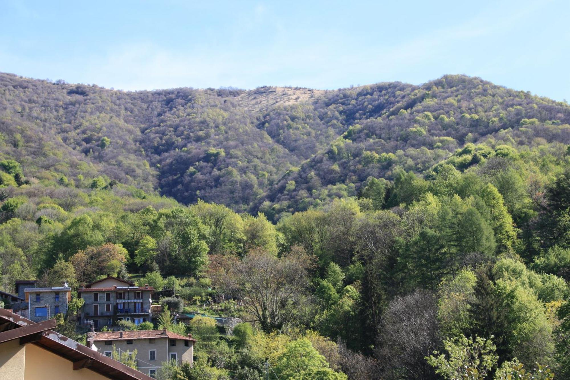 B&B Le Magnolie Faggeto Lario Esterno foto