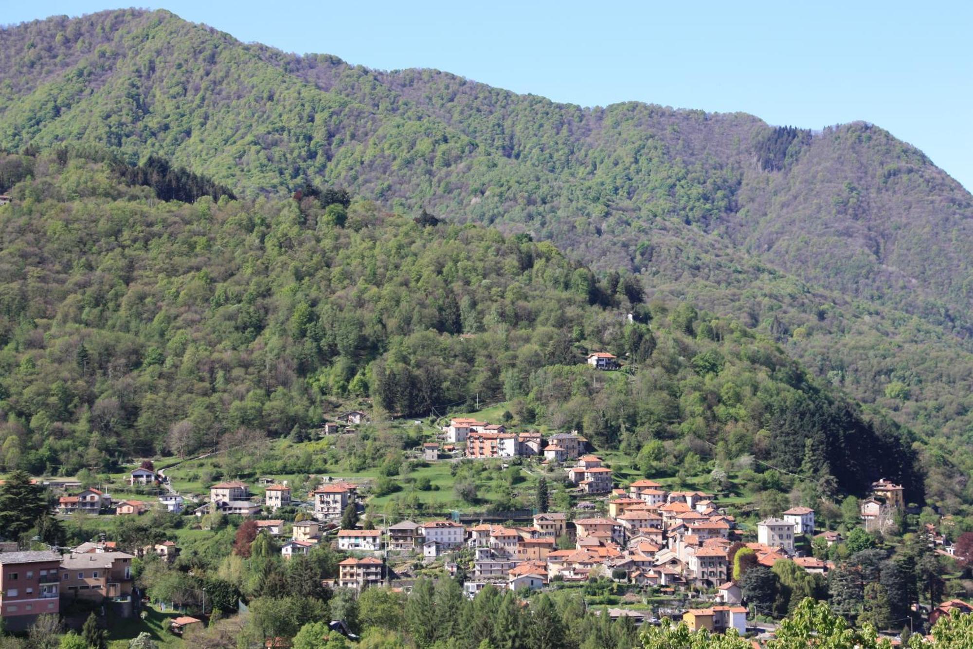 B&B Le Magnolie Faggeto Lario Esterno foto